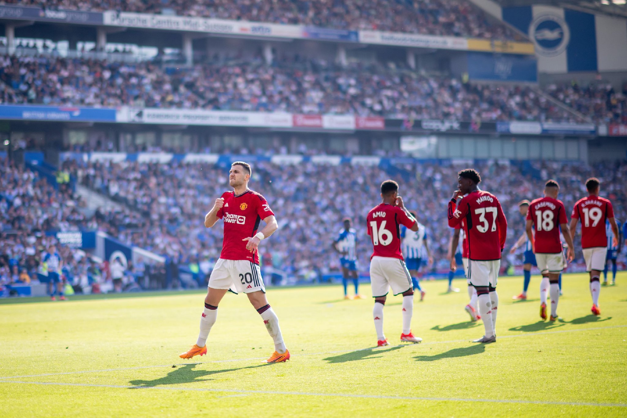 乒乓球的益 乒乓球的益