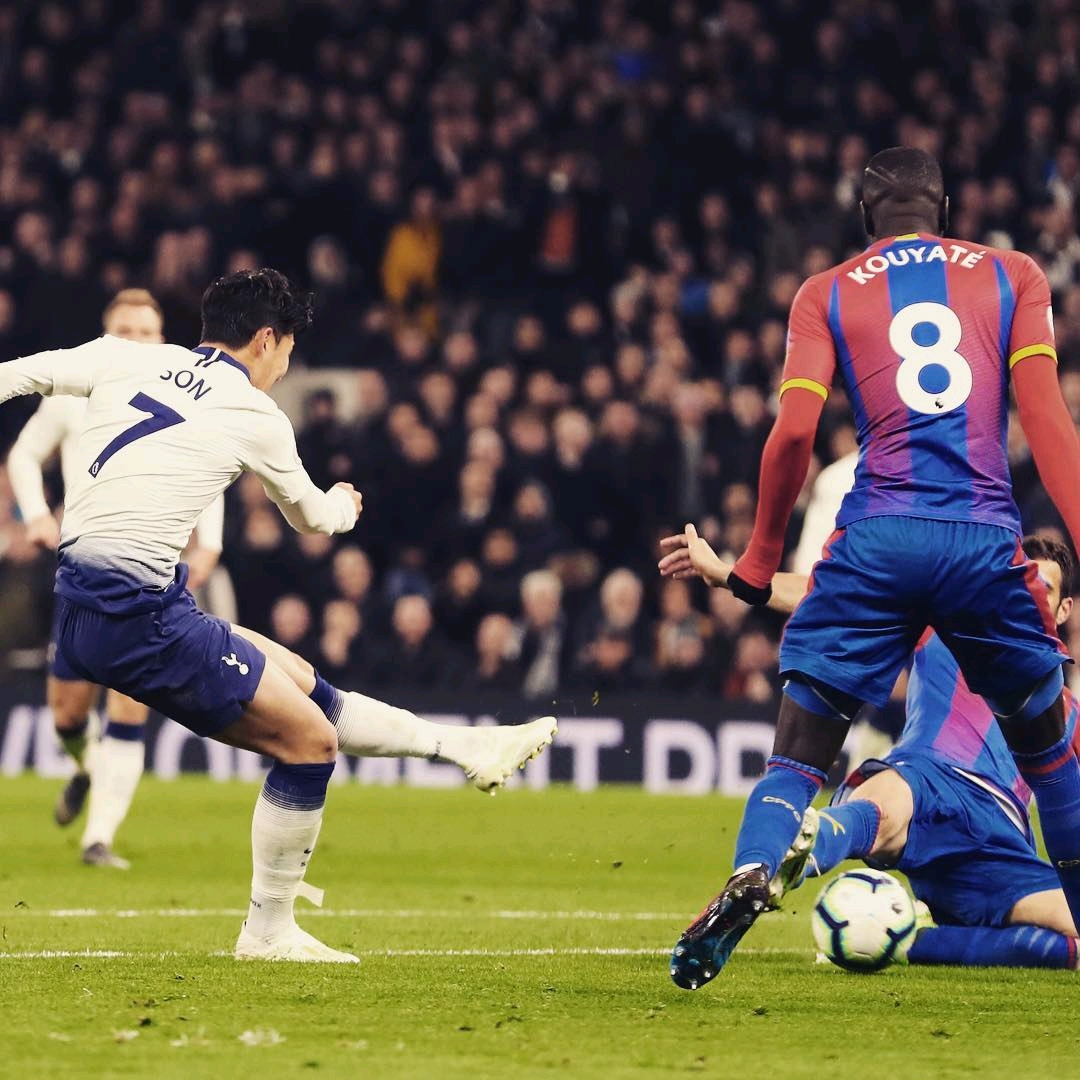 球不仅展示 球不仅展示