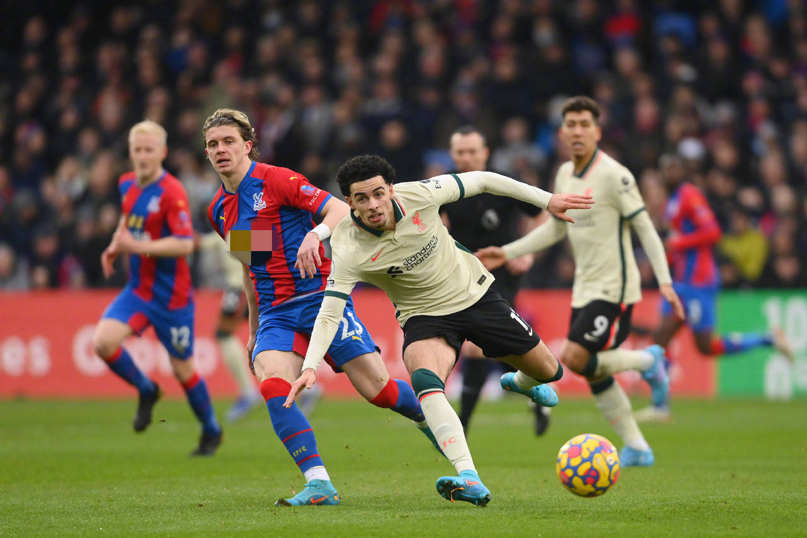 了自己的竞 了自己的竞